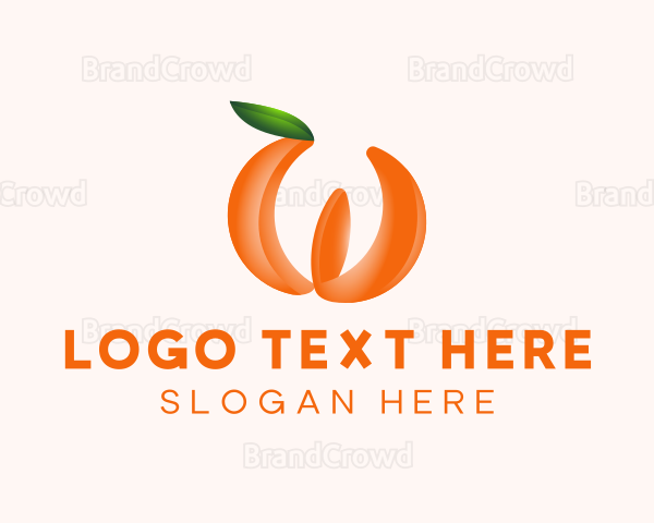 Orange Fruit Business Logo