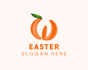 Orange Fruit Business Logo