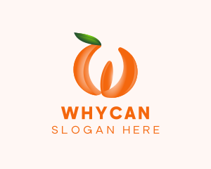 Orange Fruit Business Logo