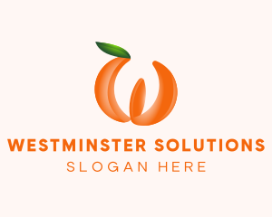 Orange Fruit Business logo design