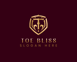 Luxury Premium Shield Letter T logo design