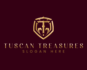 Luxury Premium Shield Letter T logo design