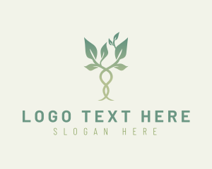 Natural Leaf Herb Logo