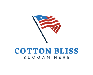 America Country Flag logo design