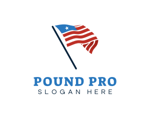 America Country Flag logo design