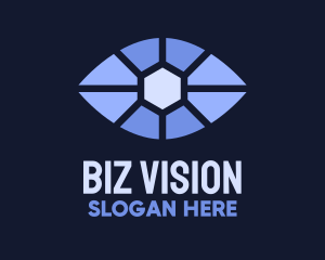 Blue Eye Focus  logo design