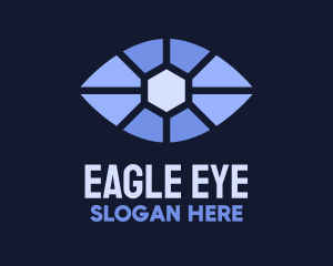 Blue Eye Focus  logo design