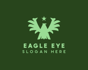 Aviation Military Eagle  logo design