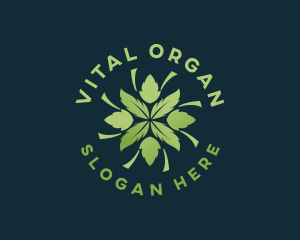 Organic Herbal Leaves  logo design