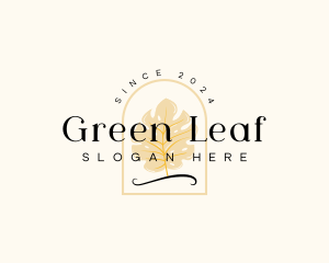 Eco Leaf Monstera logo design