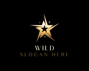 Star Luxury Entertainment logo design
