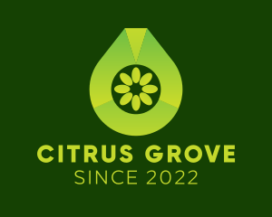 Citrus Water Beverage  logo design