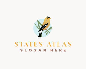 Iowa Goldfinch Bird logo design