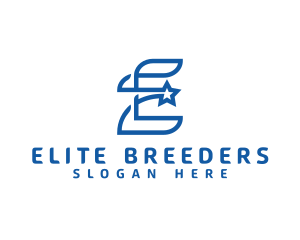 Blue E Star logo design