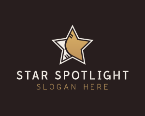 Star Professional Agency logo design