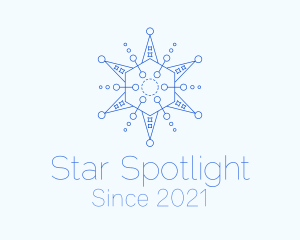 Blue Star Astrology logo design