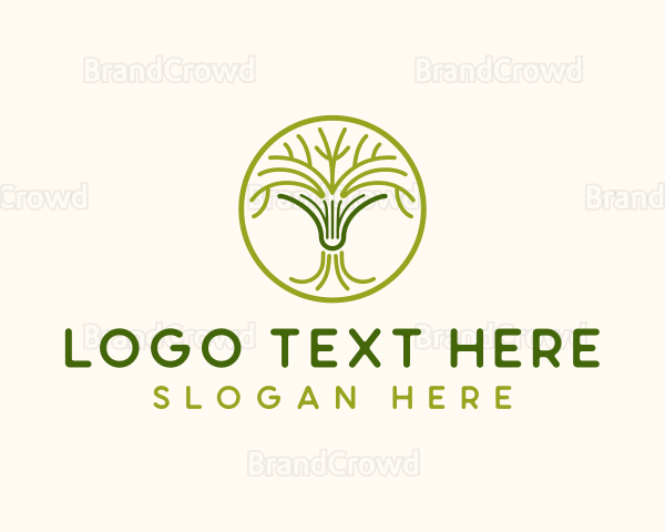 Tree Book School Logo
