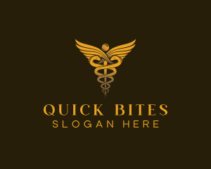 Medicine Caduceus Pharmacist logo design