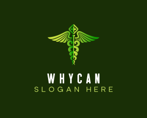 Health - Medical Treatment Caduceus logo design