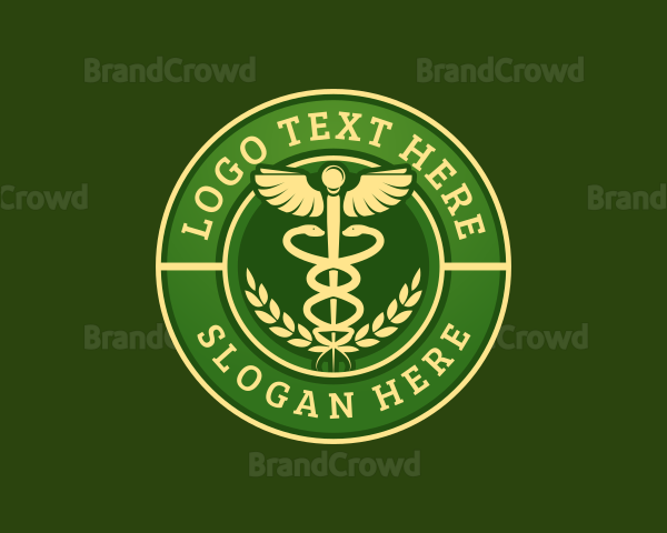 Medical Caduceus Clinic Logo