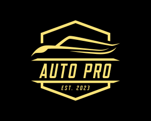 Auto Garage Emblem logo design