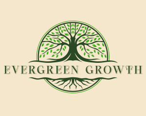 Tree Roots Wellness logo design