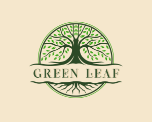 Evergreen - Tree Roots Wellness logo design