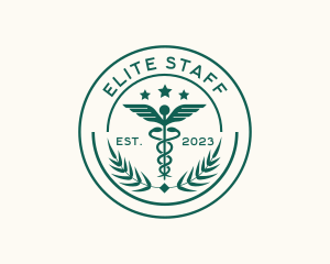 Medical Caduceus Pharmacy logo design