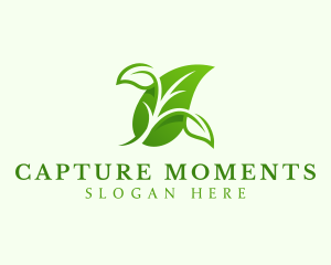 Organic Plant Leaf Logo