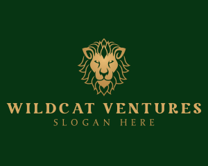 Wildcat - Luxury Jungle Lion logo design