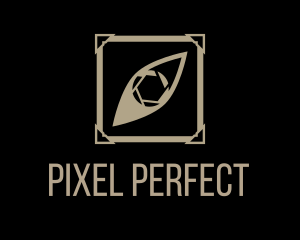 Picture Frame Eye Shutter logo design