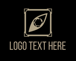 Image - Picture Frame Eye Shutter logo design