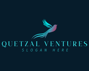 Quetzal - Quetzal Bird Sparrow logo design