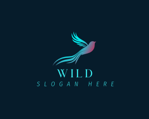 Aviary - Quetzal Bird Sparrow logo design