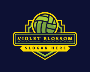 Sports Club Volleyball Team logo design