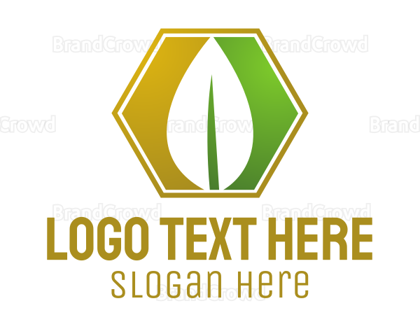 Herbal Leaf Hexagon Logo
