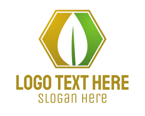 Ecology - Herbal Leaf Hexagon logo design