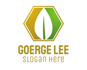 Leaf - Herbal Leaf Hexagon logo design
