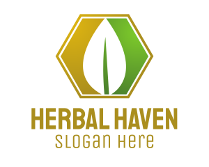 Herbal - Herbal Leaf Hexagon logo design
