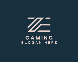 Professional Company Letter ZE Logo