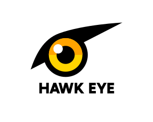 Yellow Bird Eye logo design