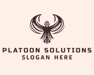 Platoon - Flying Falcon Aviary logo design