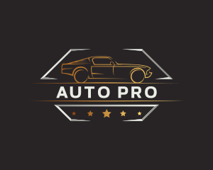 Auto Motorsport Garage logo design