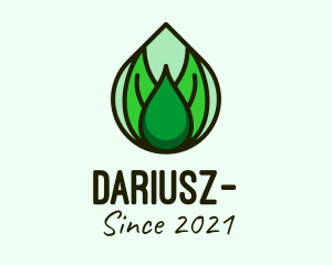 Dew - Natural Leaf Droplet logo design