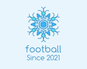 Winter - Blue Frozen Snowflake logo design