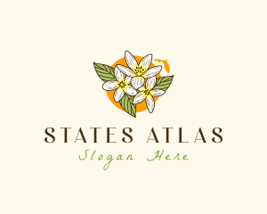 Orange Blossom Florida logo design