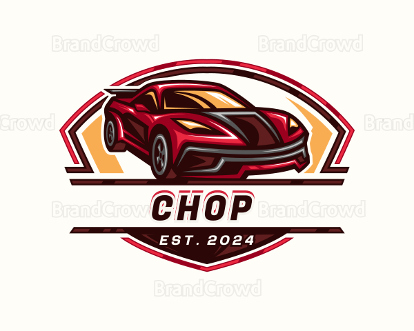 Race Car Detailing Logo