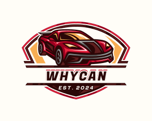 Race Car Detailing Logo