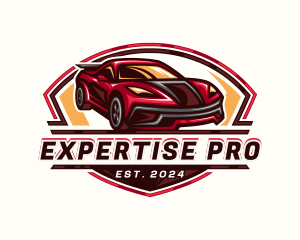 Race Car Detailing logo design