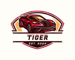 Race Car Detailing logo design